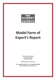 Model Form of Expert's Report