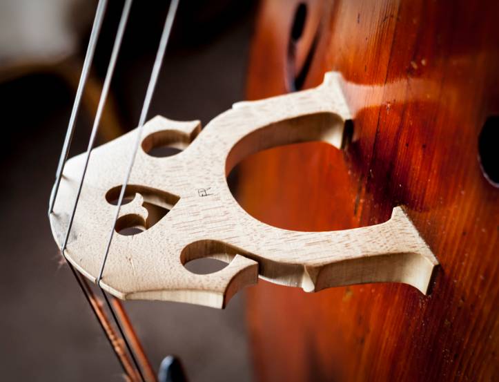 Close up of a double bass