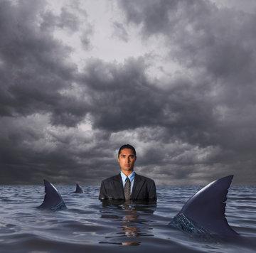 Man in water surrounded by shark fins